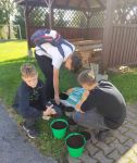  tulipany dla hospicjum
